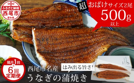 【定期便】三河産うなぎ「超おばけ蒲焼き2尾(合計500g以上)」×6回(隔月1回　1年間)・A134-114