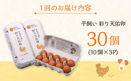 【全6回定期便】黄身の濃厚なコクと白身の甘み！たたらの里平飼い 彩り天佑卵 30個入り（10個×3P）たまご 卵 放牧卵 島根県雲南市/株式会社たなべたたらの里（たなべ森の鶏舎） [AIDL003]