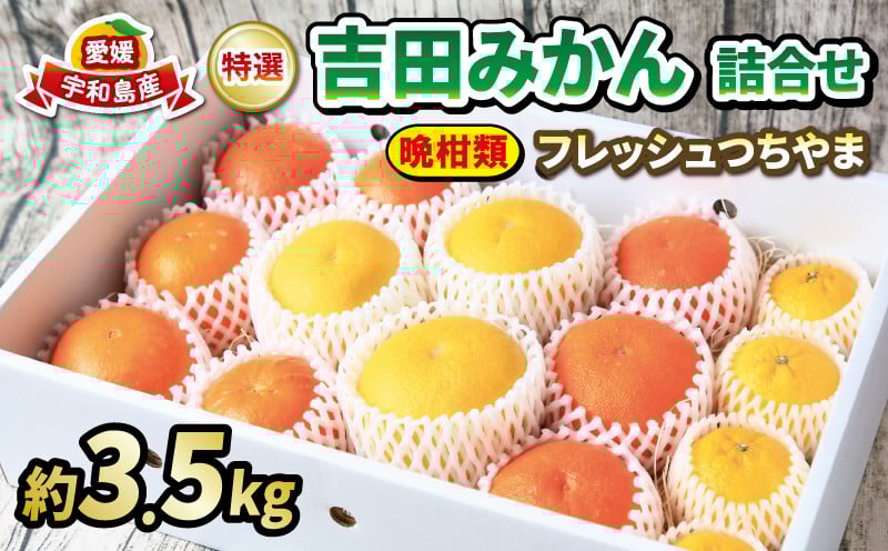 
            みかん 詰合せ 晩柑 3.5kg 贈答用 特選 吉田みかん フレッシュつちやま  先行予約 秀品 贈答品 ギフト プレゼント 高級 ネット掛け 柑橘詰め合わせ みかん詰合せ セット 蜜柑 ギフト プレゼント 果物 くだもの フルーツ 産地直送 数量限定 国産 愛媛 宇和島 B018-096005
          