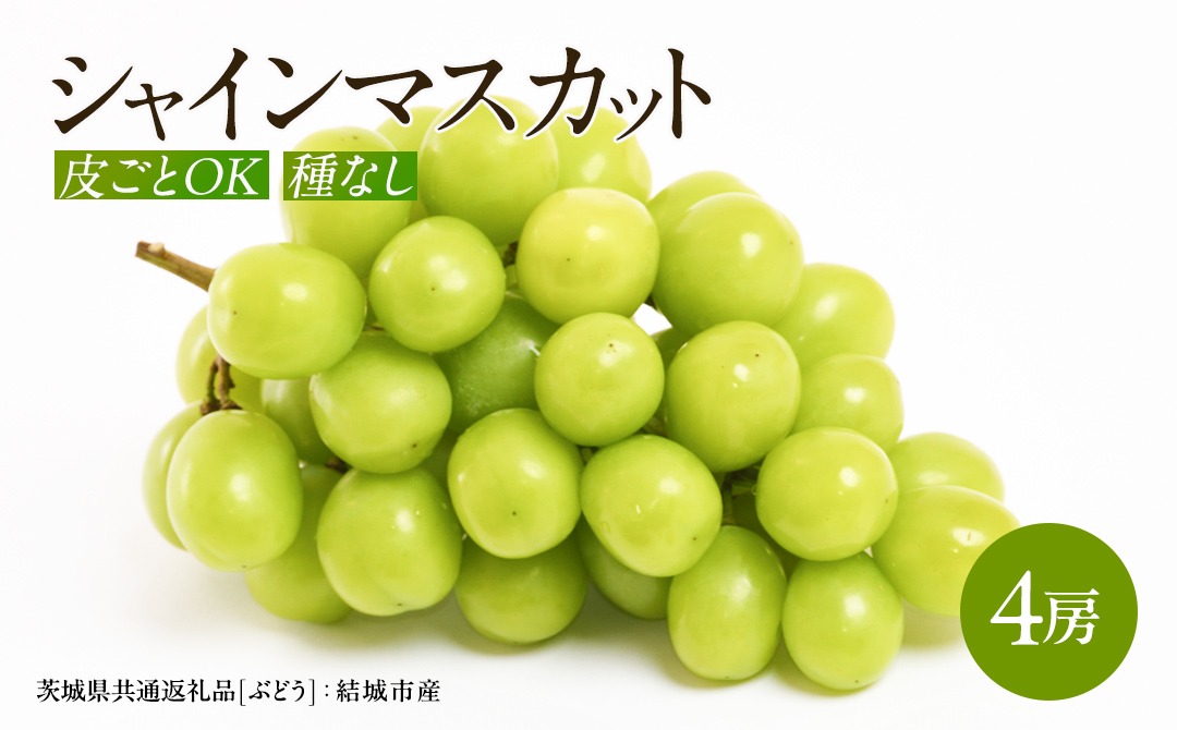 【2026年7月より発送開始】シャインマスカット 4房  （茨城県共通返礼品 [ぶどう]：結城市産） 田舎の頑固おやじが厳選！ マスカット 種なし ギフト 高糖度 大粒 甘い 美味しい フルーツ [BI292-NT]