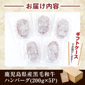 a750 鹿児島県産黒毛和牛ハンバーグセット(200g×5パック)【AKR Food Company】