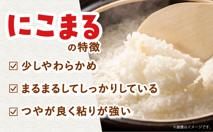 米 お米 コメ 白米 精米 10kg ごはん 国産 長崎