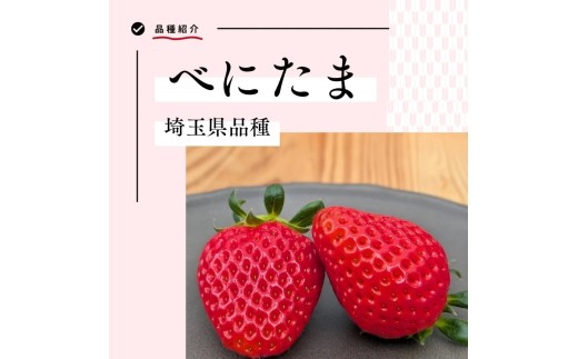 【先行予約】いちご あまりん ＋お任せ品種 食べ比べ 大粒 300g×2パック | 苺 イチゴ 埼玉県産 甘りん オリジナル 希少 冷蔵 産地直送 全国いちご選手権 3年連続最高金賞品種 1月 2月 