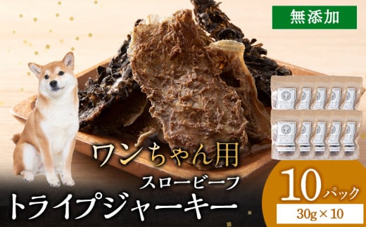 放牧牛 スロービーフ トライプジャーキー(犬用) 300g(30g×10) 杉山牧場 北海道 浜頓別 肉 牛 牛肉 ウエットエイジング