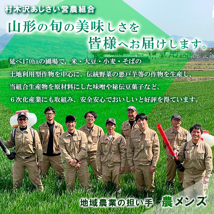 【令和7年産米 新米】山形市 村木沢産 はえぬき(玄米) 10kg 【10月下旬発送開始】 ブランド米 山形 FZ25-929