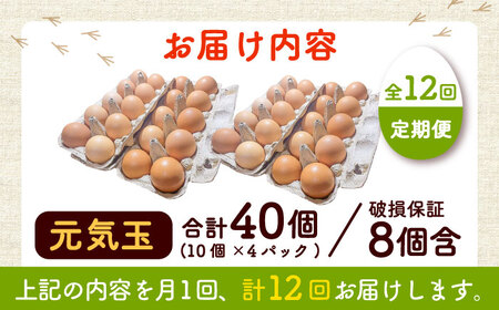 【全12回定期便】平飼い新鮮たまご 元気玉 計40個(10個×4パック) / 卵 ぷりぷり 新鮮 玉子 オムレツ たまごかけごはん 朝食 鶏卵 平飼い 濃厚 こく 熊本県 菊陽町【ぴよっこファーム】[