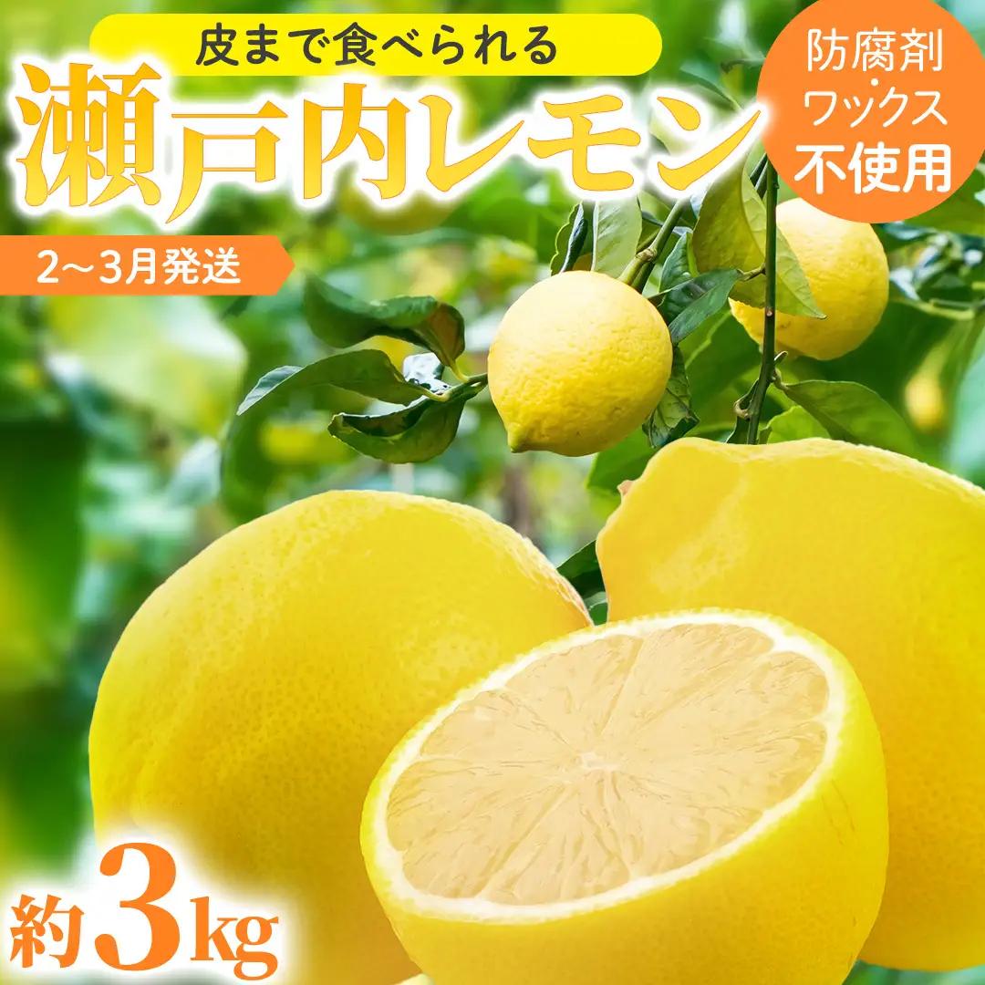 瀬戸内レモン 約3kg (30個程度) 防腐剤・ワックス不使用 皮まで食べられる 【 2027年2月～3月発送 】 西田農園