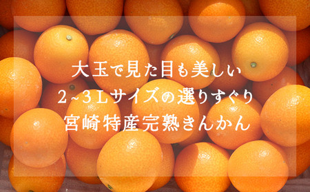 KU445 【プレミアム】選りすぐりの大玉完熟きんかん1kg【玉様ファーム】