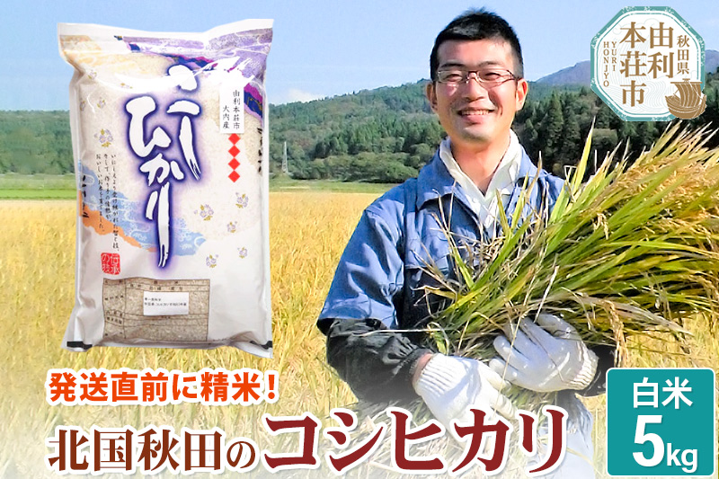 【白米】コシヒカリ 5kg 令和7年産 秋田県産 北国秋田のコシヒカリ お米 米 こめ 五平農園