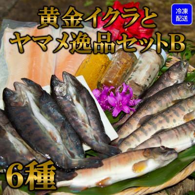 ふるさと納税 三股町 【テレビで紹介されました!】黄金イクラと渓流のヤマメ逸品セットB【B-0206】