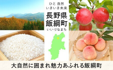 [0616]無添加 りんごジュース　1000mL×6本 ＜ラベル無し＞ 果汁100％　※沖縄および離島への配送不可　※2月中旬から発送　長野県飯綱町