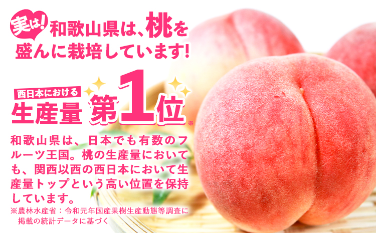 【先行予約】 桃 かつらぎ町産 約 1kg 紀農人株式会社《2026年6月上旬-8月中旬頃出荷》 和歌山県 日高川町 果物 フルーツ 桃 もも モモ 旬---wshg_ckgr4_a68_23_130