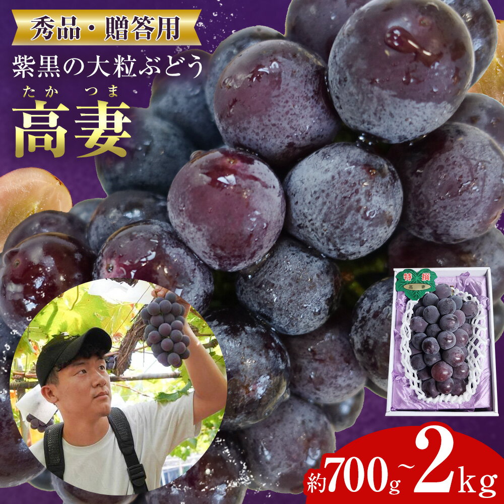 【ふるさと納税】贈答用 秀品 高妻 選べる 約700g or 約1kg or 約2kg 北ぶどう農園《2026年8月上旬-8月下旬頃出荷》大阪府 羽曳野市 ぶどう 果物 フルーツ 高妻 葡萄 デザート プレゼント