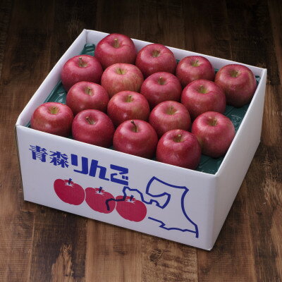 【ふるさと納税】【百年続く青森のりんご農家直送】葉とらずサンふじ　約10kg　贈答用【12月から発送開始】【配送不可地域：離島】【1170122】