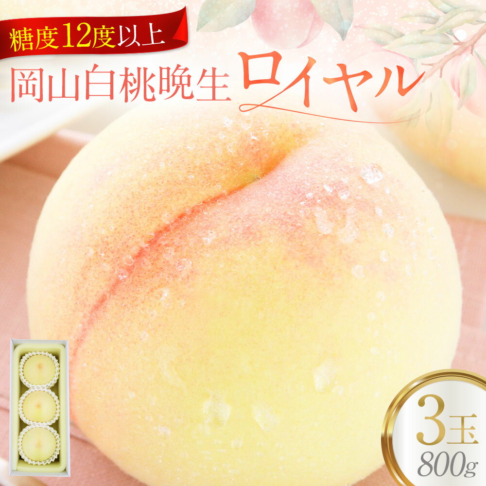 【ふるさと納税】岡山白桃 晩生 ロイヤル 3玉 約800g 白桃 桃 もも モモ 果物 くだもの フルーツ おやつ デザート 冷蔵 岡山県産 岡山県 美咲町 送料無料【2025年8月下旬発送予定】
