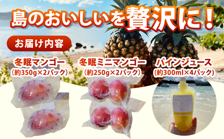 最高糖度20度！？冬眠マンゴー、ミニマンゴーと完熟パイン4種のジュース