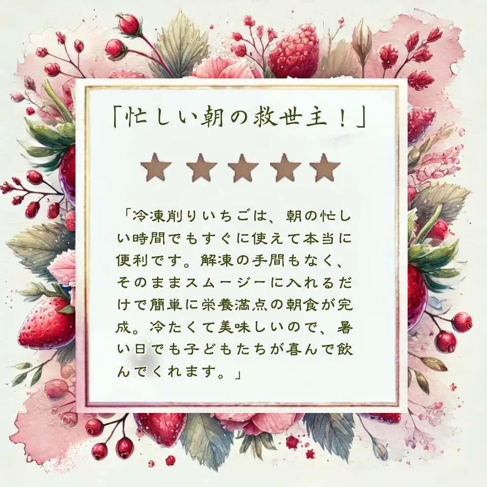 【12ヶ月定期便】削りいちご 桃薫 500g いちご フルーツ