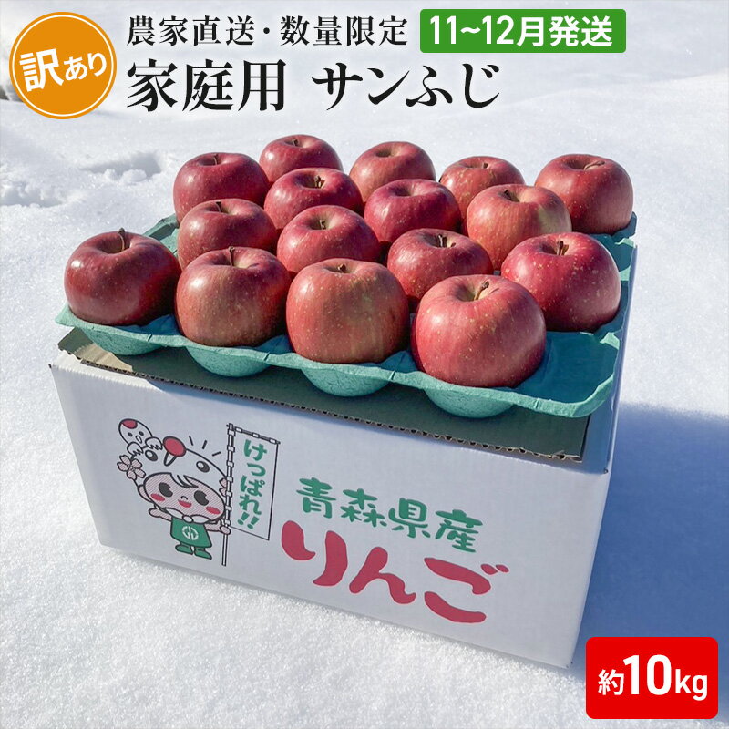 【ふるさと納税】【農家直送・数量限定】 11～12月発送 家庭用 サンふじ 約10kg 【訳あり】 果物 フルーツ 青森りんご シャキシャキ 　お届け：2025年11月中旬～2025年12月中旬まで