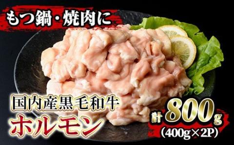 isa205 国内産黒毛和牛！ホルモン(計800g・400g×2P)大腸・小腸・赤センマイをミックス！小分け真空パックでお届け！もつ鍋・焼肉・煮込みに 国産 牛 和牛 大腸 小腸 赤センマイ ミックス 小分け 真空パック もつ鍋 焼肉 煮込み BBQ バーベキュー アウトドア 冷凍 冷凍便 【堀ノ内商会】