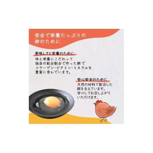 卵 30個 新鮮たまご 産卵後2日以内 10個×3箱 2L L ミックス 甘さとコクが自慢 養鶏場直送 