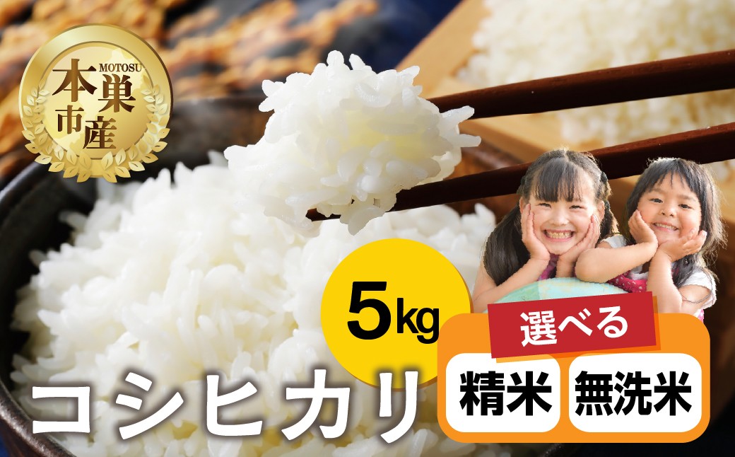 
                  令和7年産 選べる 精米 or 無洗米 こしひかり 5kg 米 コシヒカリ こめ ごはん 白米 岐阜県 本巣市 お米 精米 無洗米 甘い 和食 寿司 本巣市 17000円 くどみフルーツ農園 

                