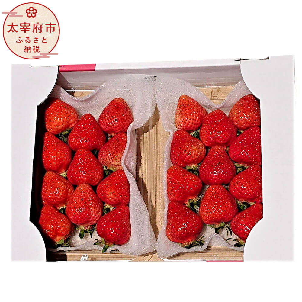 【ふるさと納税】 ＜予約＞あまおうDX 合計約560g 約280g×2パック 【2026年2月上旬～4月上旬発送予定】 デラックス あまおう いちご フルーツ 果物 旬 イチゴ 苺 福岡県産 九州産 国産 冷蔵配送 送料無料