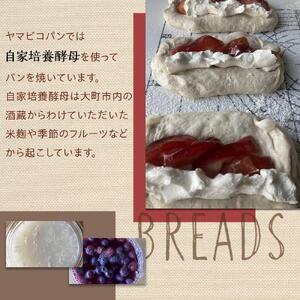 自家製酵母おたのしみパンセット80サイズ≪隔月定期便全６回≫ | パン 長野 信州