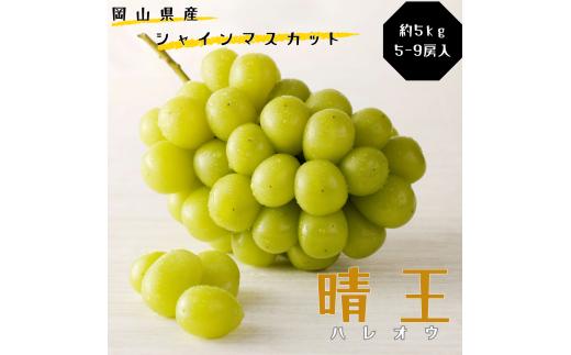 土-29　シャインマスカット 晴王 秀品 大房 約5kg 5-9房 岡山県産 岡山県産 ぶどう ギフト 御礼 プレゼント 御礼 御祝 御供 果物 くだもの フルーツ