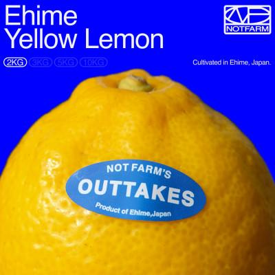 ふるさと納税 八幡浜市 【OUTTAKES】訳あり レモン2kg 愛媛県産EHIME YELLOW LEMON【99-10】