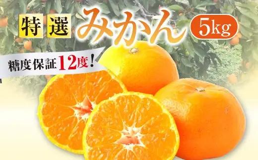 【先行受付】 特選 みかん 5kg 糖度保証 12度！ 【2026年12月上旬から12月下旬発送予定】 温州みかん 果物 フルーツ ミカン 蜜柑 柑橘