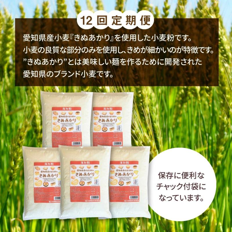 【小麦粉】愛知県産 きぬあかり 国産 薄力粉 1kg×5袋(計5kg) 定期便12回　H008-248