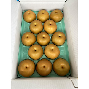 【定期便】梨(品種お任せ) 3kg箱(秀品) | 栃木県 宇都宮市 梨 なし 果物 フルーツ 秋 旬 梨 3kg 秀品 贈答 ギフト ※2026年8月～発送