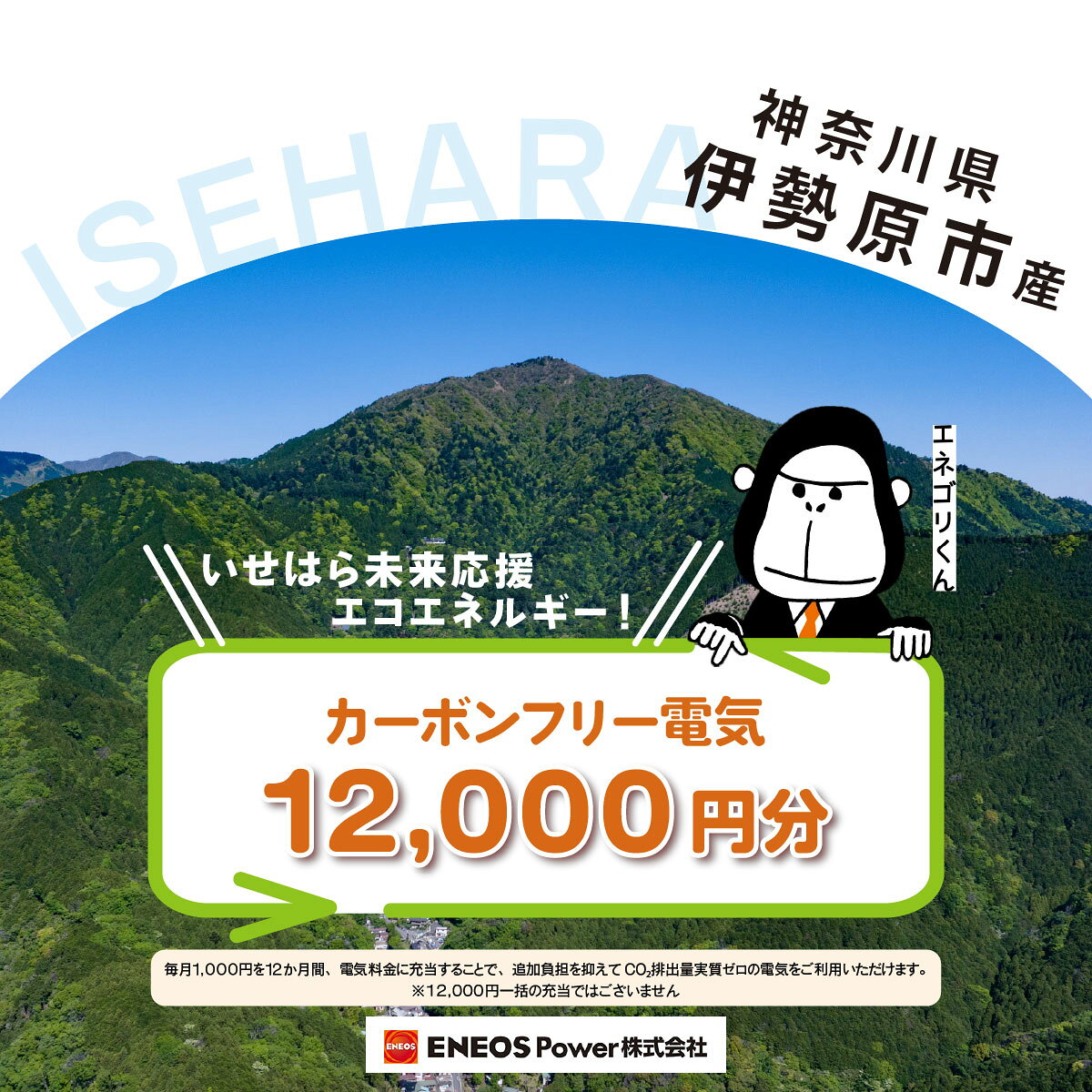 【ふるさと納税】伊勢原市産 カーボンフリー電気 12,000円分【申込条件を要確認】※お1人様1口のみ｜電気料金 電気代 エネルギー 神奈川県 ふるさと でんき [1095]