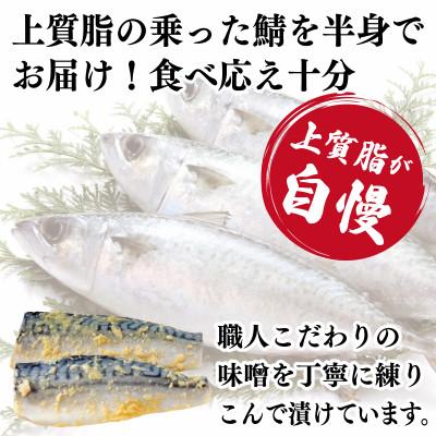 ふるさと納税 泉佐野市 【2025年10月下旬発送】上質脂が乗った 鯖西京漬! 005A086 |  | 01