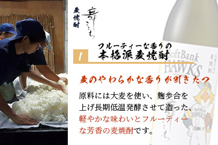  ホークスラベル　焼酎2本セット【芋焼酎　魔界への誘い＋麦焼酎　舞ここち】900ml×2本　C-119