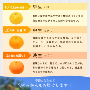 【家庭用】 森本農園の手選別 みかん 約6kg 和歌山県産 2S~2Lサイズ混合 【2025年11月上旬～2026年2月中旬ごろに順次発送】【RN30】【mrmt030】