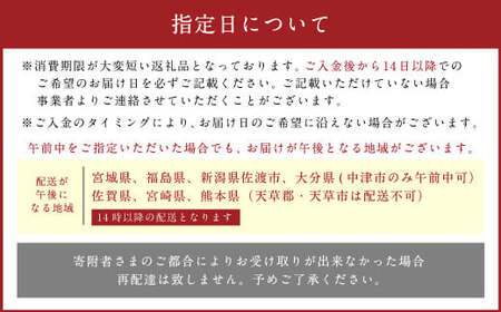 【指定日必須】老舗「うどんちり本家 にし家」瀬戸内産 鱧 と 淡路島産 玉ねぎ の はもしゃぶ (2～3人前)【11月上旬～6月上旬発送不可】【月曜日と火曜日と木曜日指定不可】