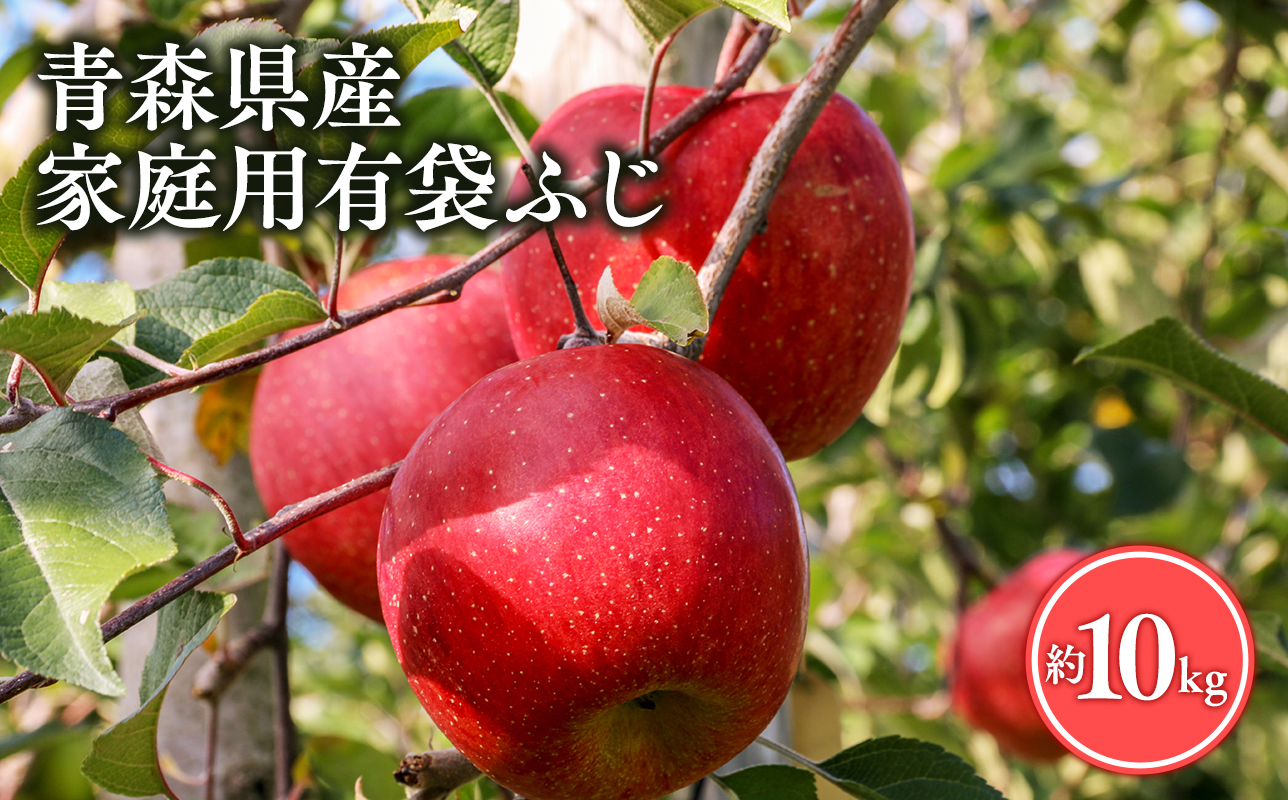 【5月～6月発送】家庭用有袋ふじ10kg【丸勝木村商店・青森りんご】