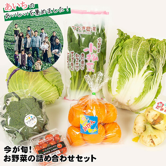 【ふるさと納税】 今が旬！お野菜の詰め合わせセット ／ 新鮮 季節の野菜 おまかせ たっぷり 送料無料 愛知県 No.214