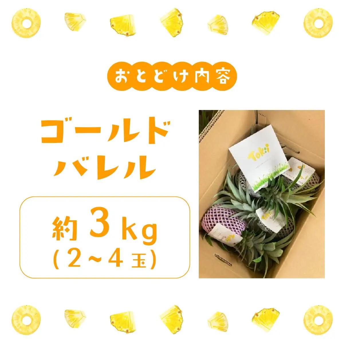 パイナップル ゴールドバレル 約3kg 