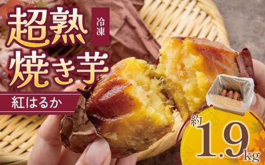 【先行予約】冷凍 超熟焼きいも 約1.9㎏ 大容量 │ 紅はるか さつまいも やき芋 冷凍 冷やし焼き芋 焼き芋 やきいも 焼芋 やきいも ヤキイモ ヤキイモ スイーツ おやつ さつまいも 紅はるか デザート お菓子 和菓子 国産 糖度 サツマイモ 甘い あまい 芋 yakiimo imo 茨城県 つくば市