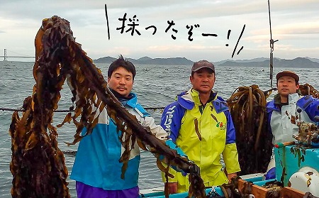 【漁師直送】湯通し塩蔵わかめ300ｇ×5袋【淡路島鳴門海峡原産】