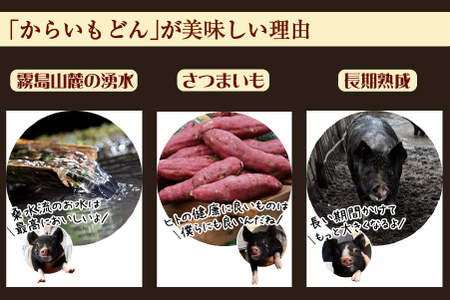 豚肉 【牧場直送の新鮮黒豚】桑水流黒豚からいもどんみそ漬けセット 10P