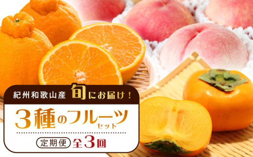 
            紀州和歌山産 旬にお届け！3種のフルーツセット（不知火・桃・ひらたね）【UT58】
          