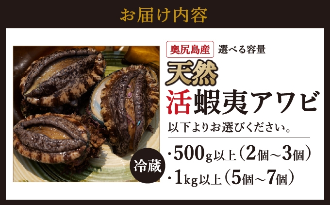 【2026年6月発送】奥尻産天然アワビ 選べる容量 | 活アワビ 鮑 | 北海道 奥尻町 ふるさと納税