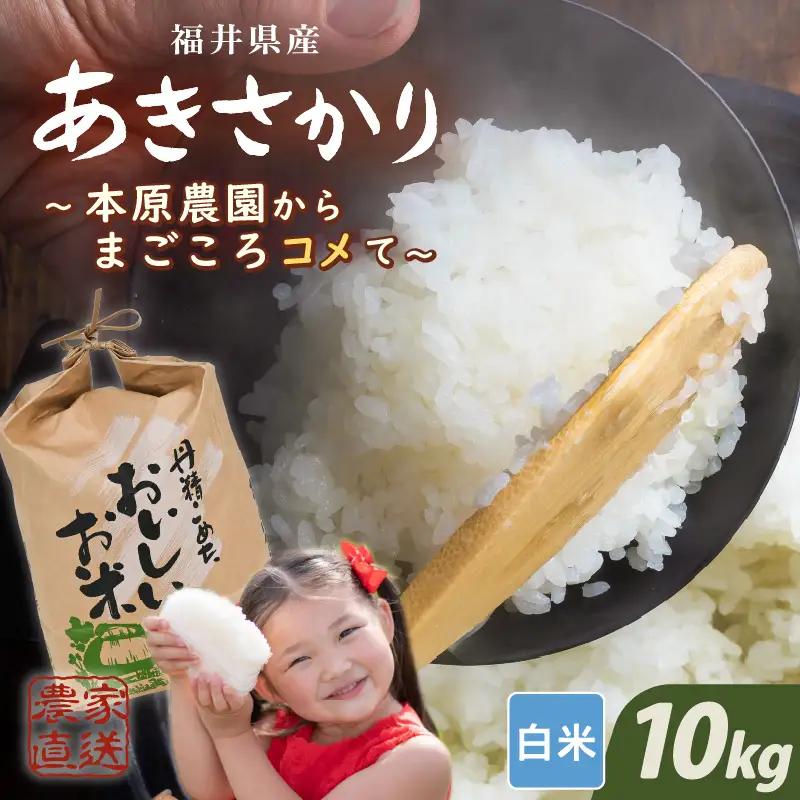 令和8年産 新米 (白米) あきさかり 10kg (5kg×2袋) ブランド米 米 [A-89102_01]
