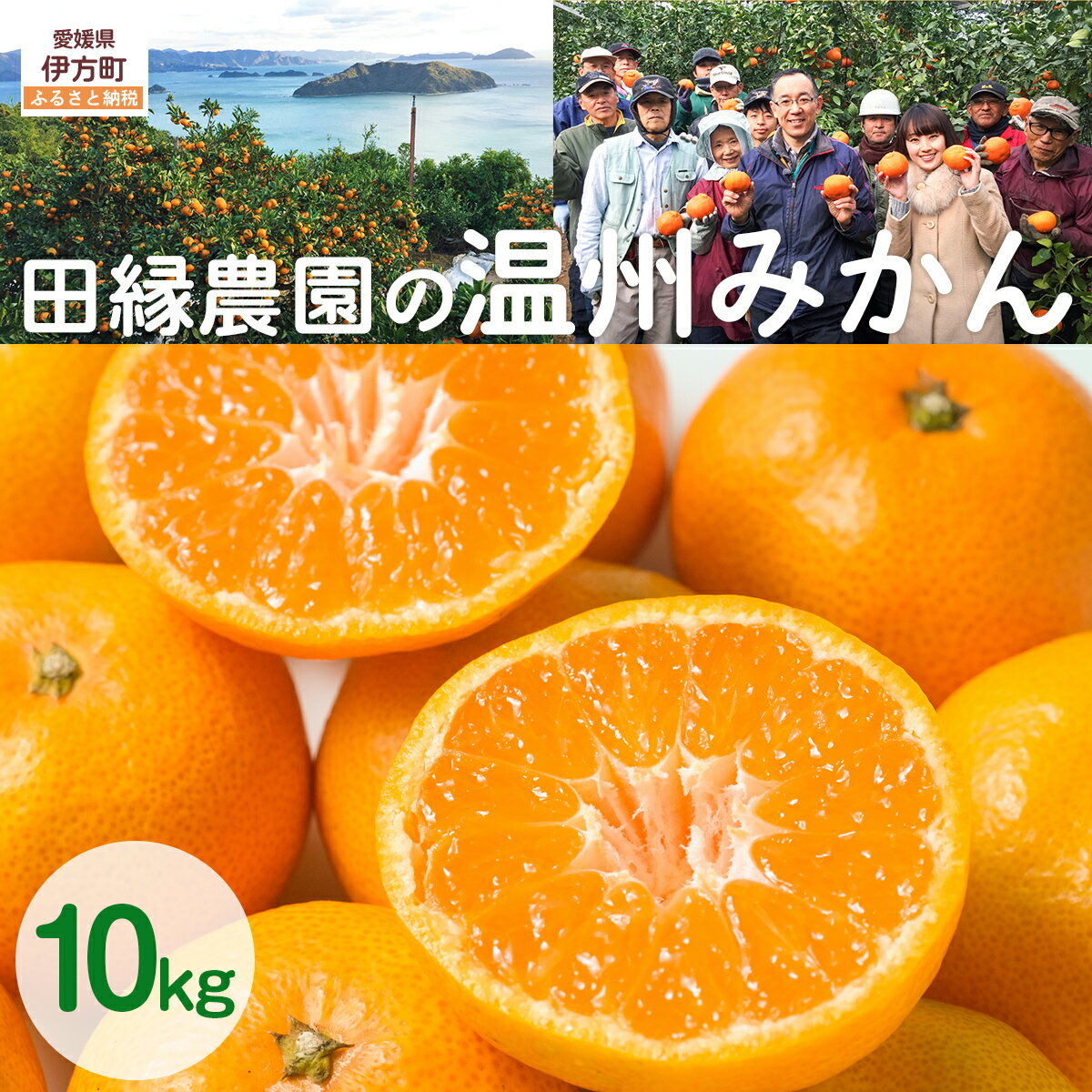 【ふるさと納税】【先行予約】【数量限定】田縁農園の温州みかん（生果）10kg ※離島への配送不可 （2025年11月10日より順次発送） 【ふるさと納税 人気 おすすめ ランキング みかん 温州みかん 温州ミカン フルーツ 愛媛県産 田縁農園 愛媛県 伊方町 送料無料】 IKTA025