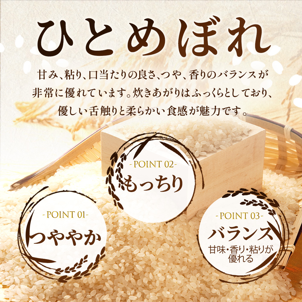 【先行予約/12ヶ月連続定期便】令和7年産新米 岩手県産 ひとめぼれ 10kg×12回 米 盛岡産 お米 白米 精米 ブランド米 単一原料米 10キロ こめ コメ おこめ ご飯 ライス 東北 岩手 岩