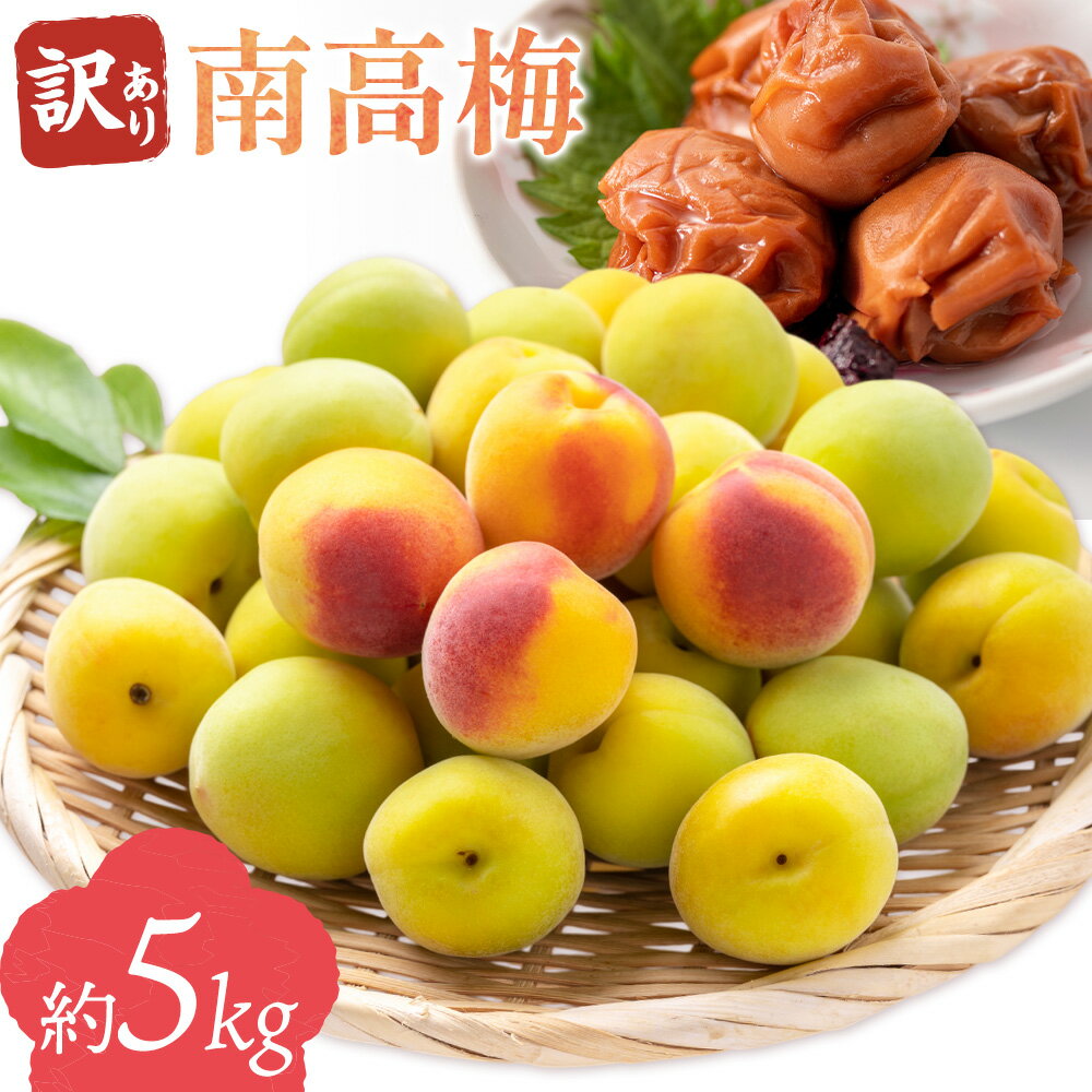 【ふるさと納税】訳あり 南高梅 約5kg 垣内農園 《2026年6月上旬-6月中旬頃出荷》和歌山県 日高川町 梅 うめ ウメ 梅干し 梅酒 梅シロップ 送料無料