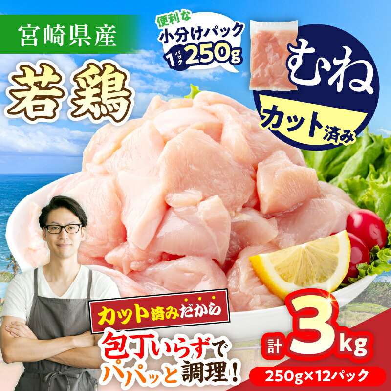【ふるさと納税】数量限定 宮崎県産 若鶏むね肉 切身 250g×12袋 計3kg 小分け 便利 冷凍 国産 真空パック カット済 簡単調理 サラダチキン 蒸し鶏 炒め物 高たんぱく 低カロリー おかず お弁当 おつまみ 低脂質 ヘルシー 人気 おすすめ グルメ 宮崎県 日南市 送料無料